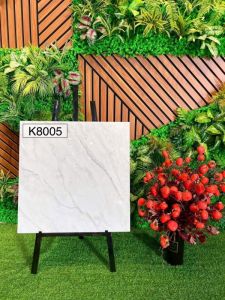 K8005