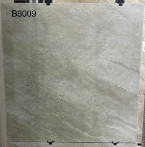 B8009
