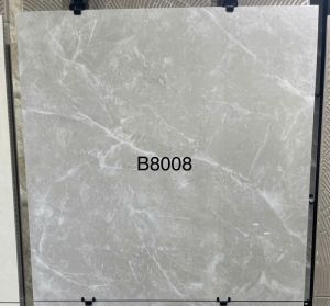 B8008