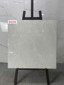 B8006