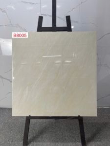 B8005