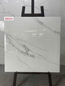 B8004