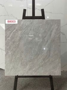 B8003