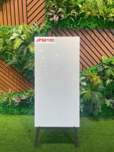 JPS6100
