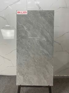B61205